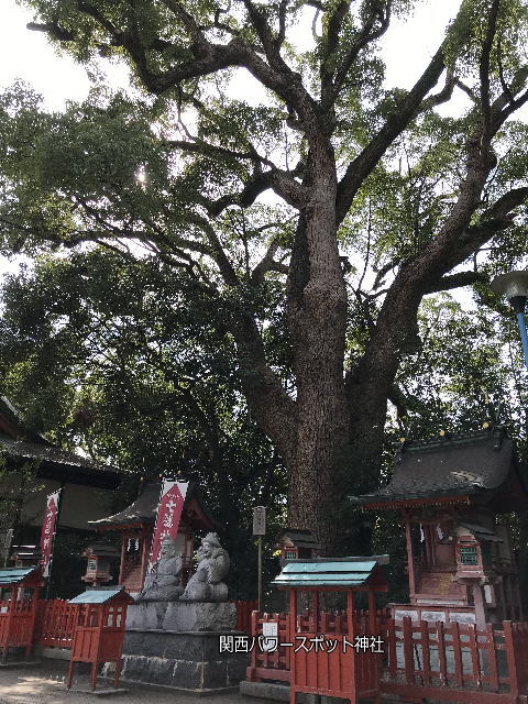 長田神社、蛭子社、出雲大社、蛭子様・大黒様・クスノキ