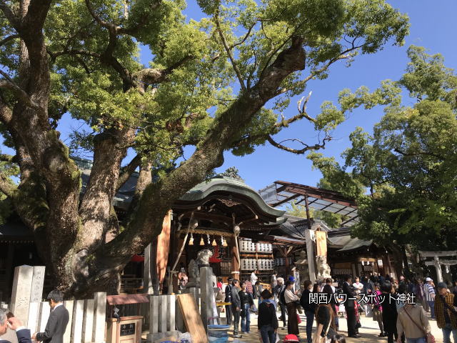 「石切劔箭神社」本殿とご神木