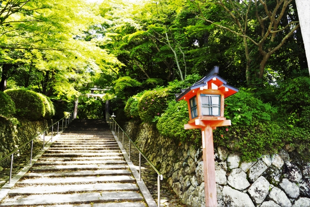 大原野神社参道