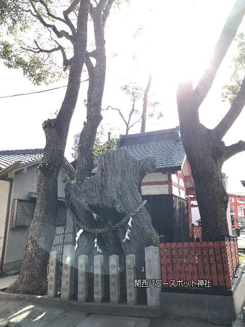 姫嶋神社の焼けた御神木