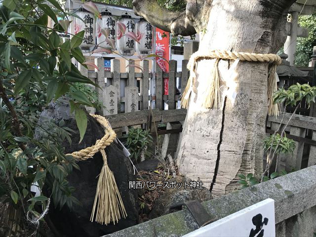 「満足稲荷神社」境内の岩神さまと御神木