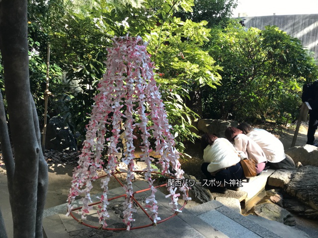 生田神社境内の「生田の森」で水みくじをしている様子