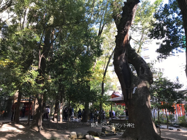 生田神社境内の史蹟「生田の森」の様子