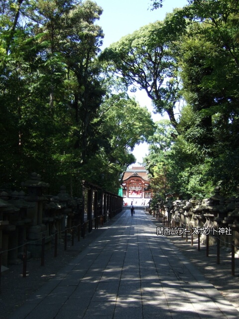 石清水八幡宮表参道。遠くに南総門が見える