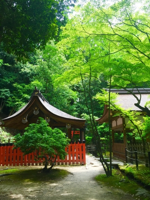 上賀茂神社の摂社「新宮神社」