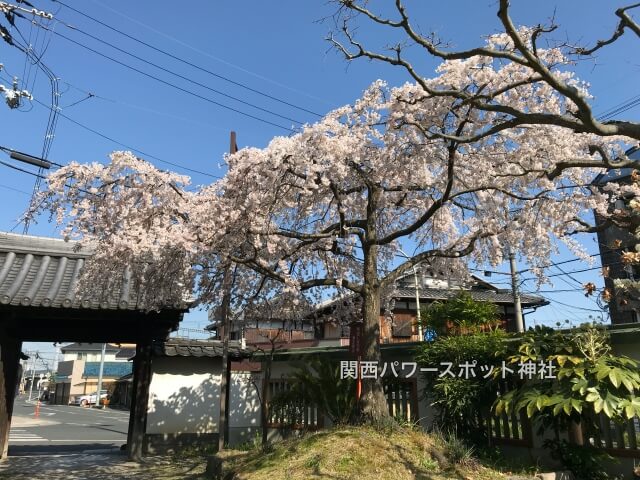 離宮八幡宮東門