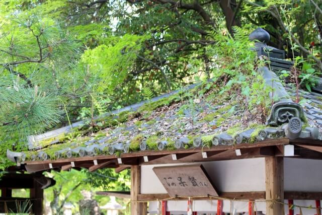 今宮神社の摂社「阿呆賢さん」