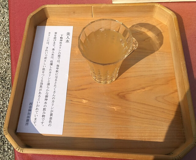 河合神社「美人水（カリン）」