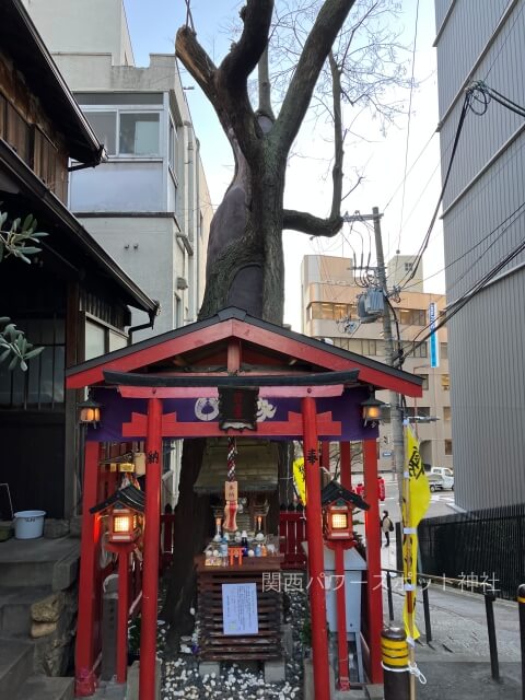 榎木大明神（大阪市中央区安堂寺）の祠と御神木