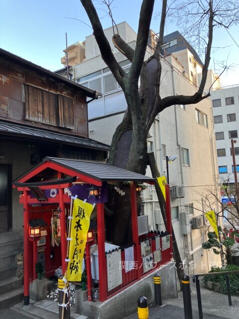 榎木大明神（大阪市中央区安堂寺）の祠と御神木