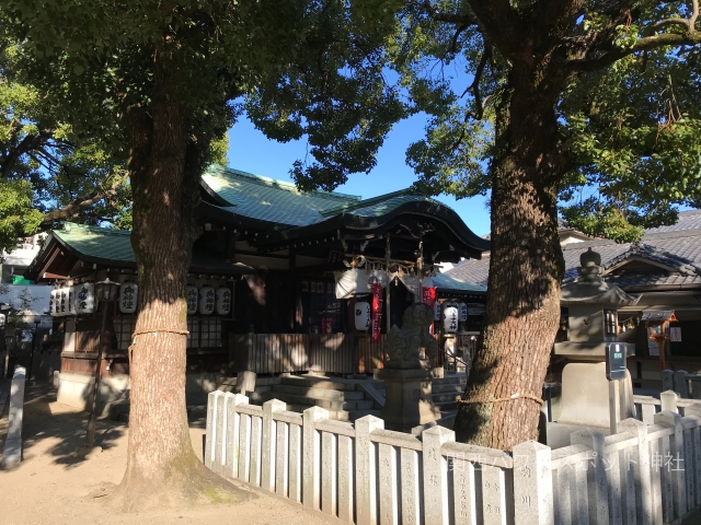 八王子神社（大阪市東成区）の拝殿と楠