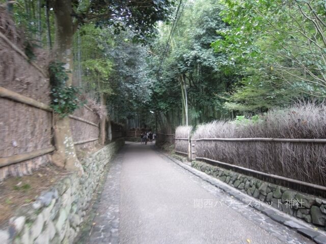 野宮神社周辺の小路