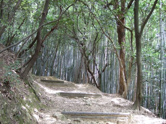 天王山の坂道