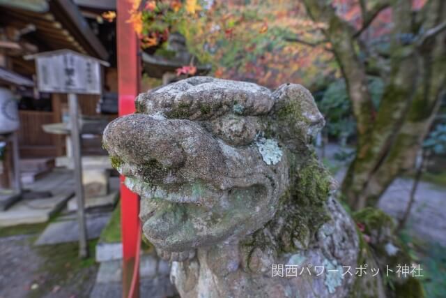 粟田神社の狛犬