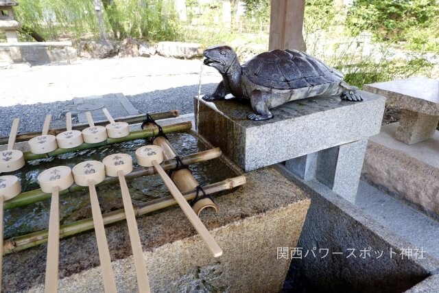 松尾大社 亀の手水舎