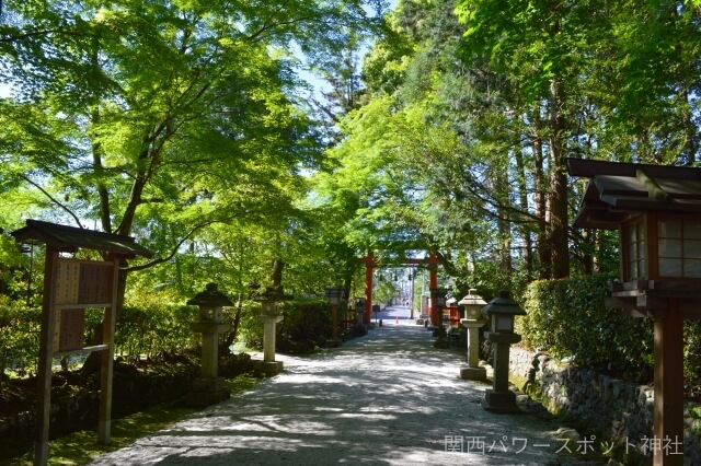 大田神社（上賀茂神社の摂社）境内参道