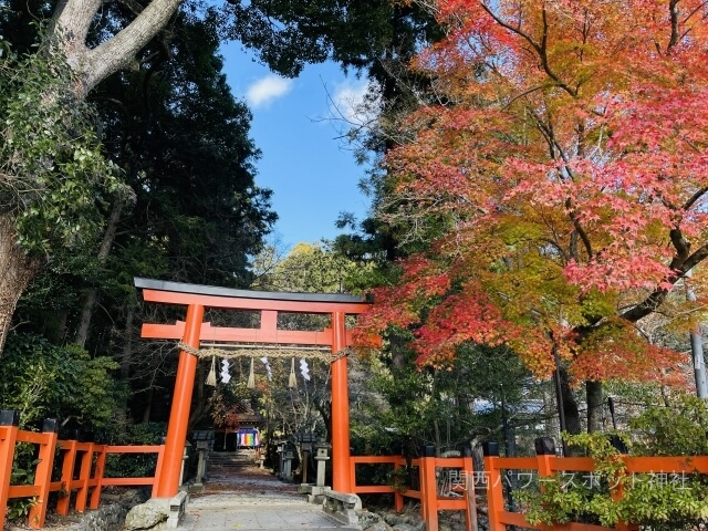 大田神社（上賀茂神社の摂社）鳥居と紅葉