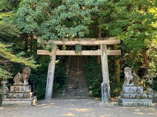 建水分神社の鳥居と狛犬