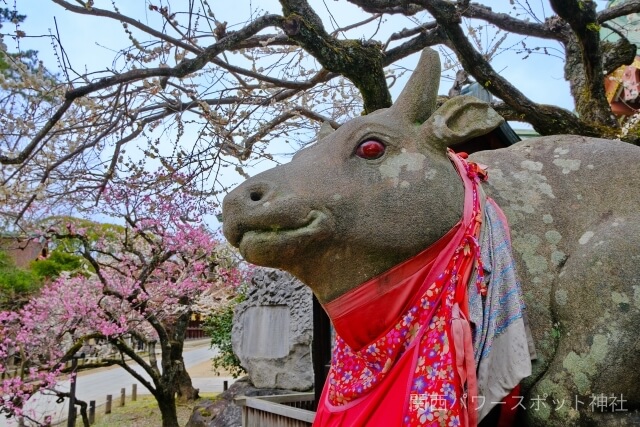 北野天満宮 撫で牛