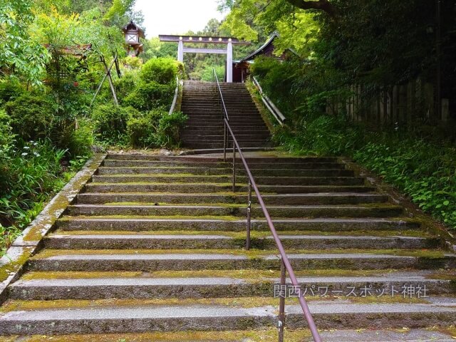 日向大神宮 参道の階段と鳥居