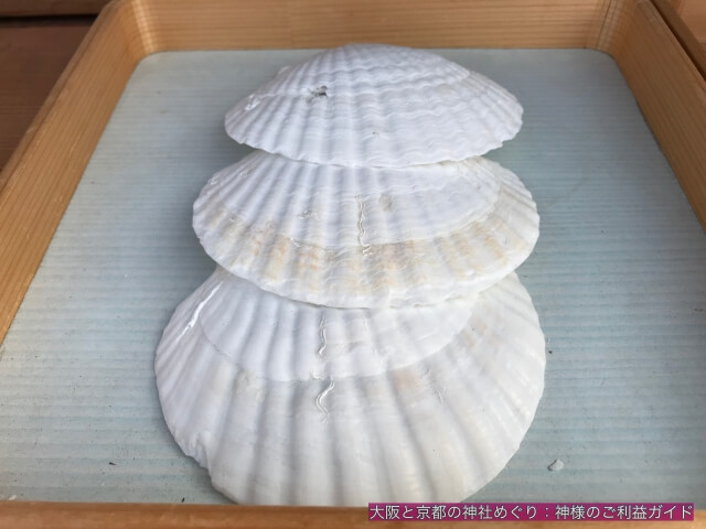姫嶋神社「はじまりの碑」で使用する貝殻