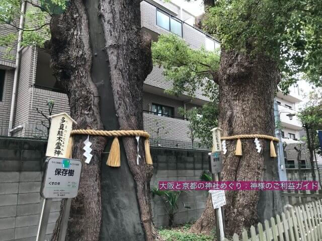 阿倍王子神社境内の御神木