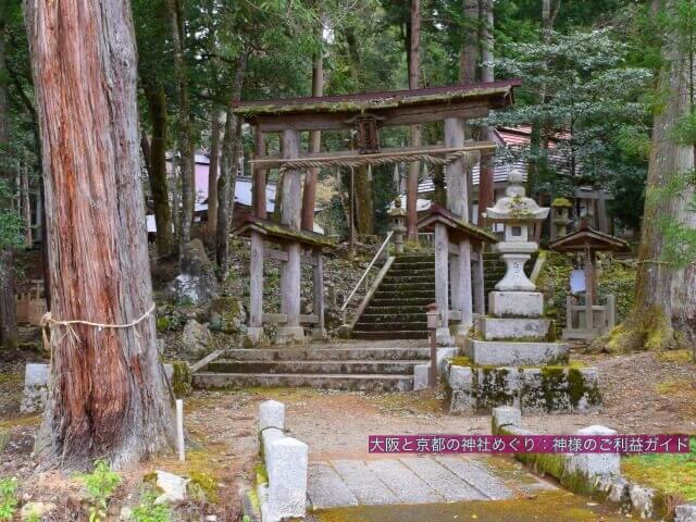 阿須須岐神社の参道と鳥居