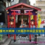 榎木大明神（大阪市中央区安堂寺）