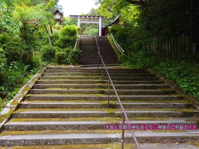 日向大神宮 参道の階段と鳥居