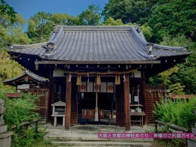 新熊野神社の本殿