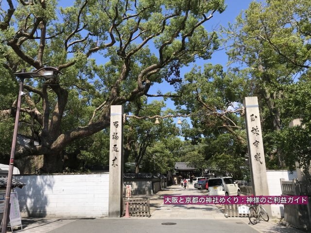 杭全神社の御神木