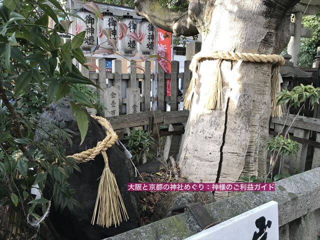 「満足稲荷神社」境内の岩神さまと御神木