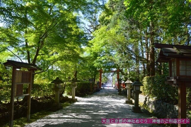大田神社(上賀茂神社の摂社)境内参道
