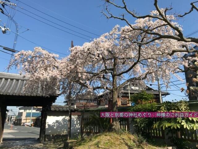 離宮八幡宮東門