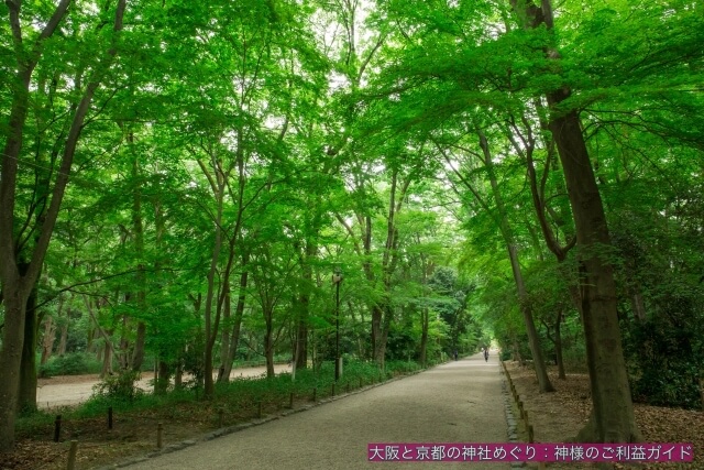 下鴨神社「糺の森」