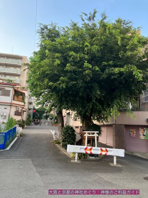 白光大神（玉造）と御神木。その奥に見える玉造稲荷神社