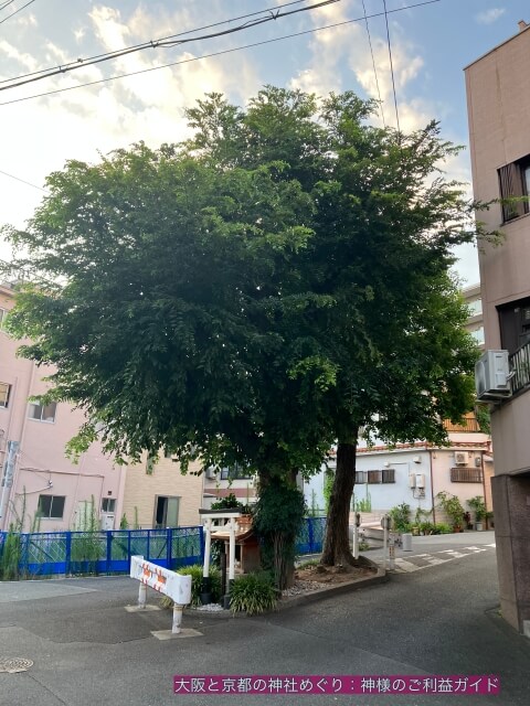 白光大神（玉造）と榎木大明神