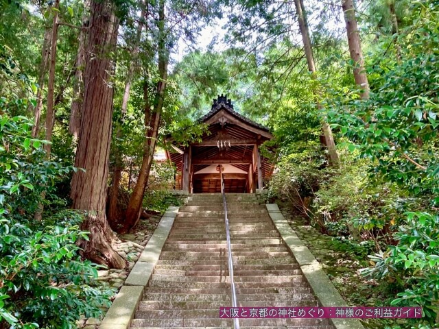 建水分神社 拝殿と階段