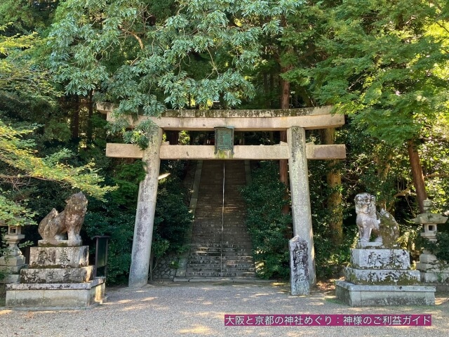 建水分神社の鳥居と狛犬