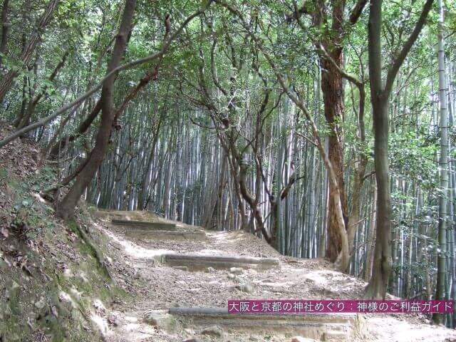 天王山の坂道