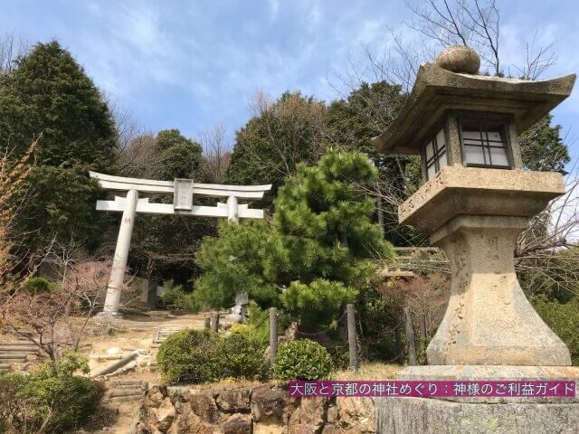自玉手祭来酒解神社